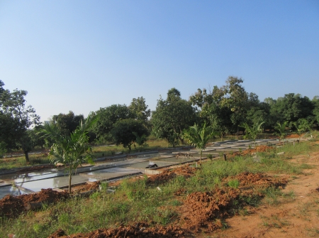 9) Li Id : 188 - Pic 10.JPG